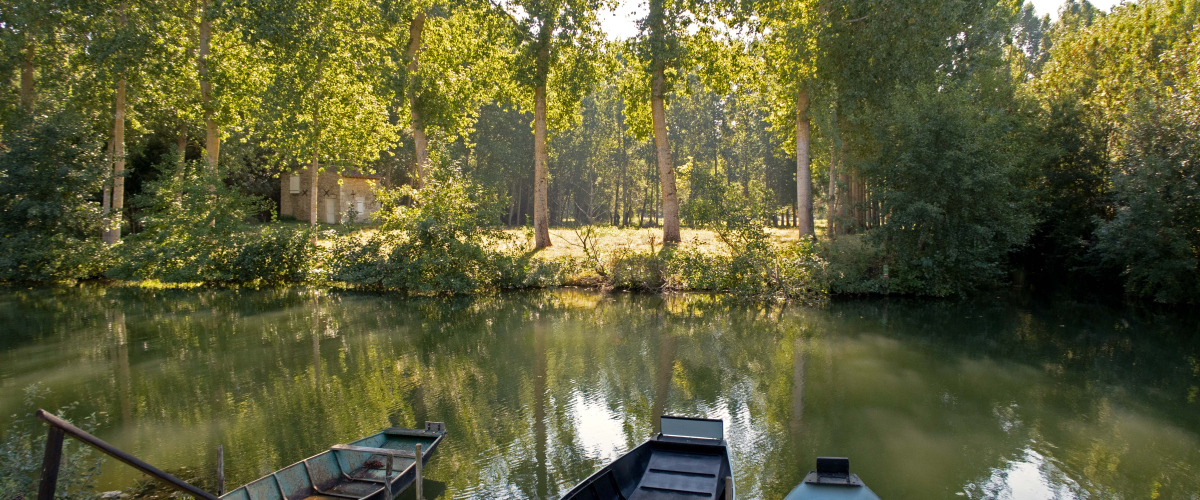 Parc naturel régional du Marais poitevin